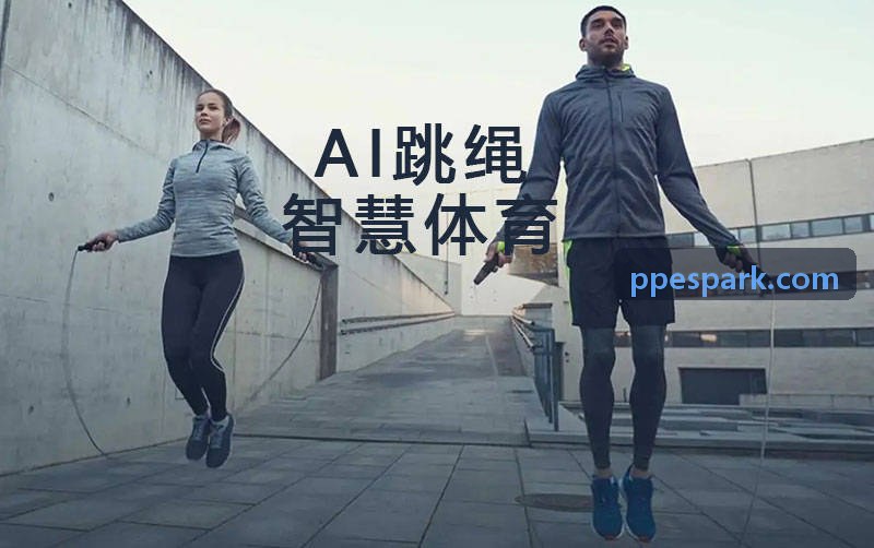 PP电子战局全景实况