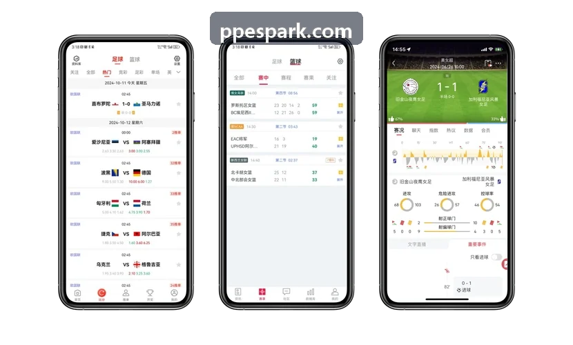 PP电子经济模型仿真
